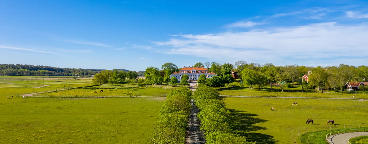 drönarbild allé mot vit herrgårdsbyggnad, blå himmel, gröna fält