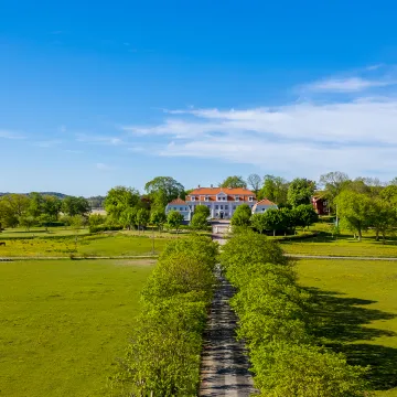 drönarbild allé mot vit herrgårdsbyggnad, blå himmel, gröna fält