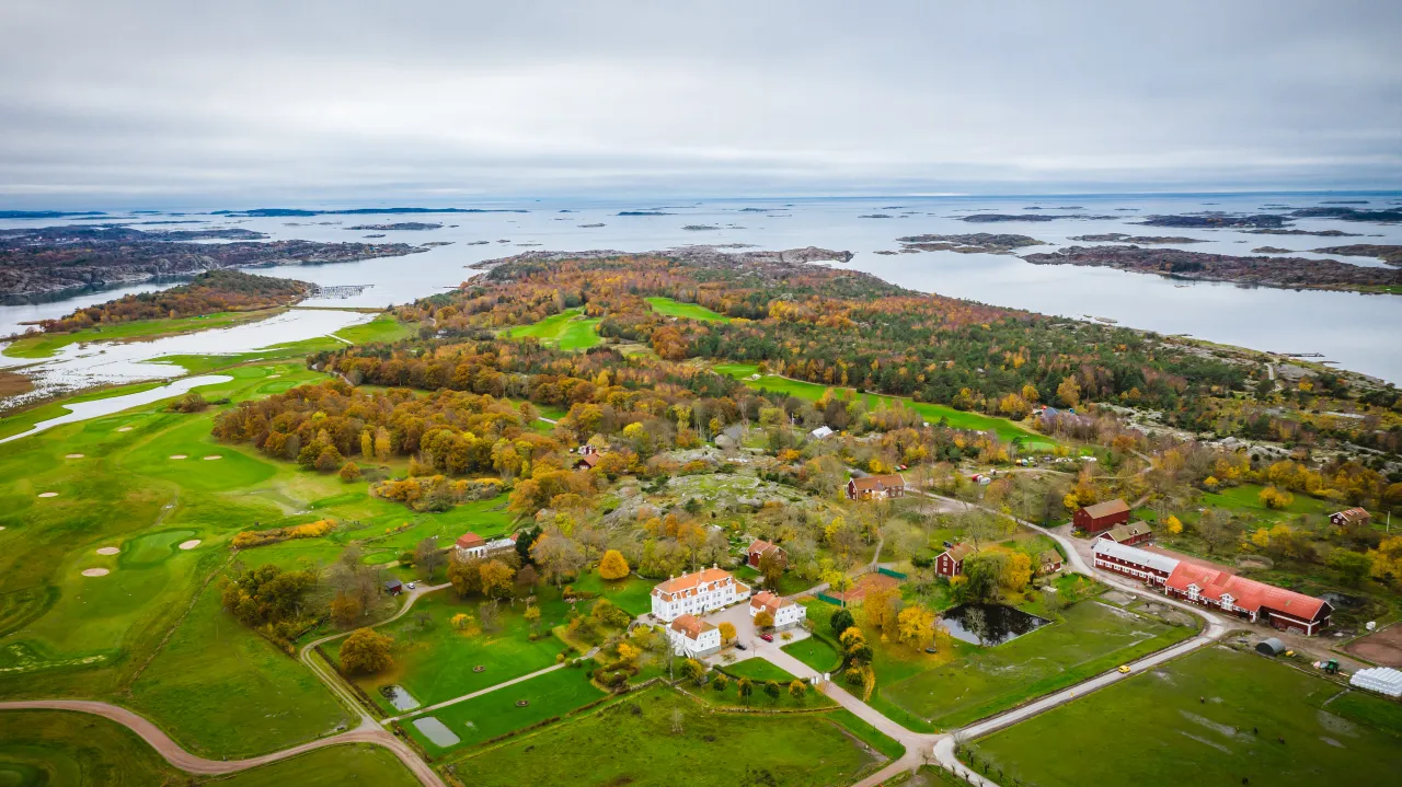 Drönarbild Toftahalvön i höstfärger, hav, golfbana, skog