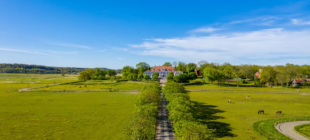 drönarbild allé mot vit herrgårdsbyggnad, blå himmel, gröna fält