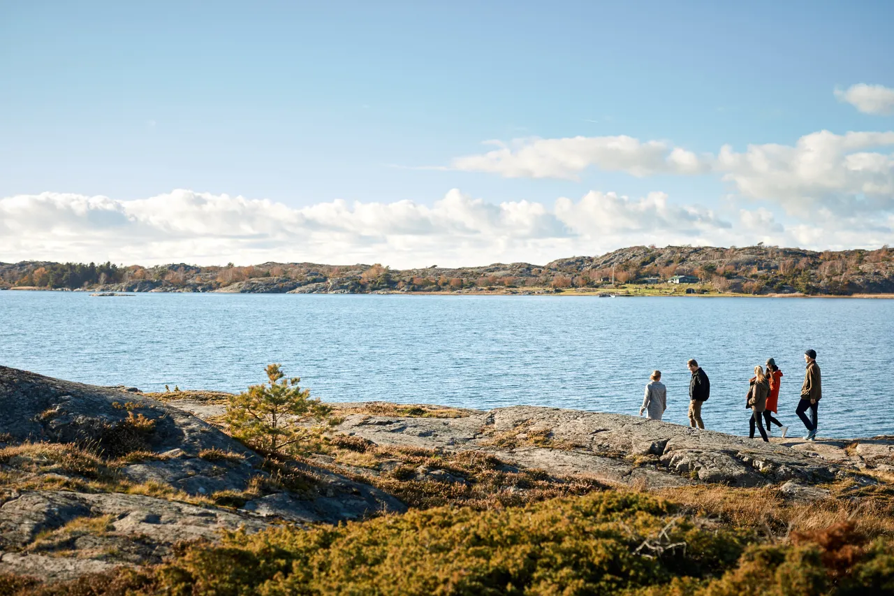 grupp menniskor vandrar på klippor längs havet